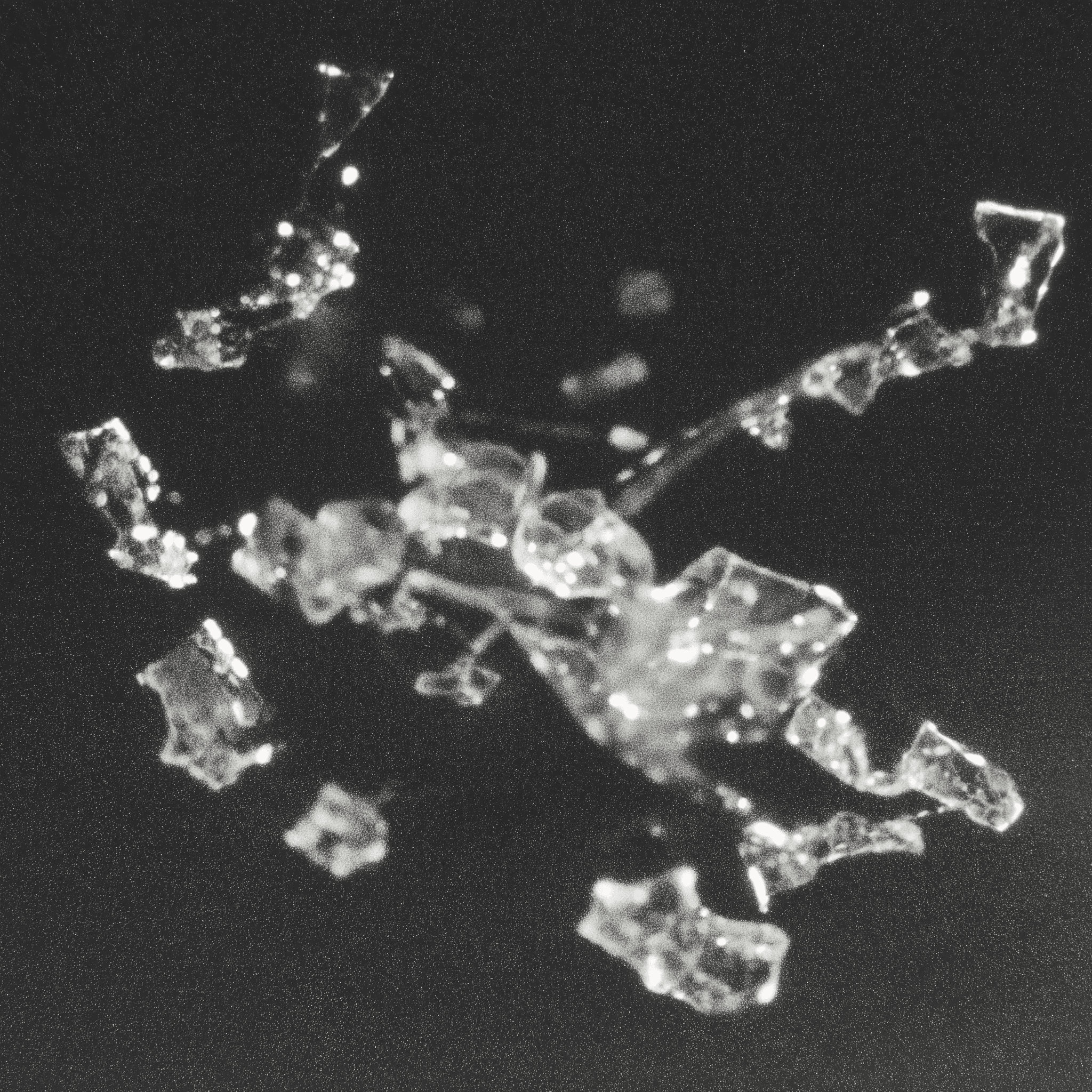 glass